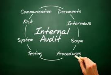 Internal Audit Services