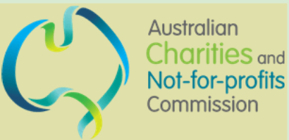 Not for Profit Audit